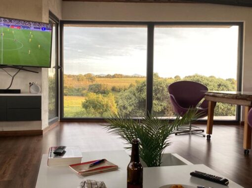 Centro de Interpretación del Pistacho, CIP, San Muñoz